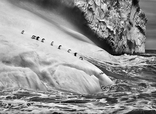 genesis1 Foto: Sebastião Salgado