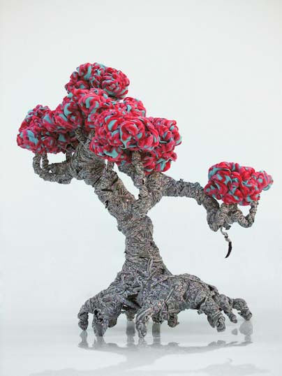 Foto: Guerra de la Paz