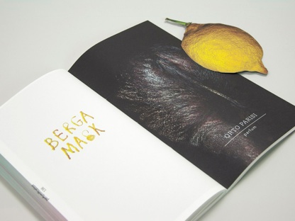 RVH_3 Foto: Rob van Hoesel