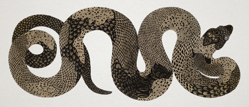 Foto: Alekasandra Laika