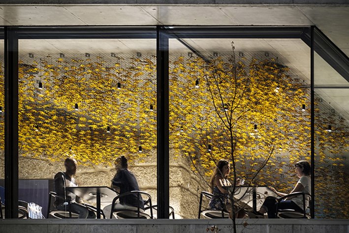 Casa de São Lourenço interiorismo