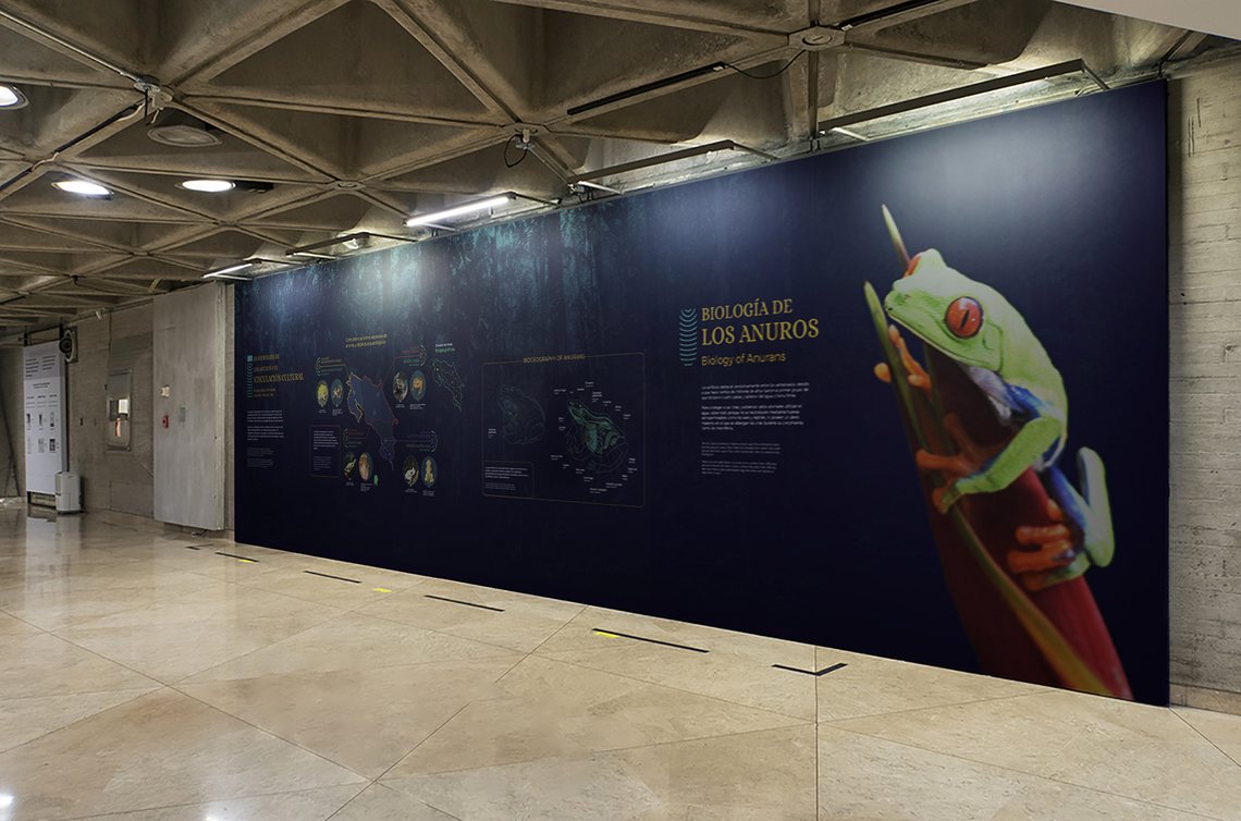 Emisarias de la Lluvia