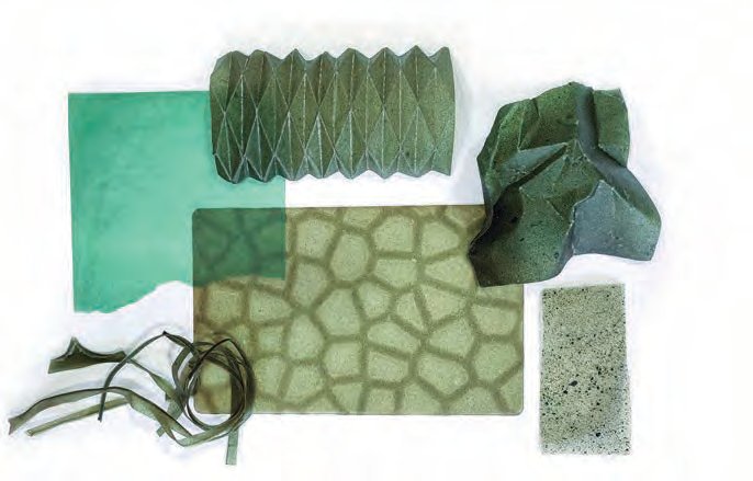 Biomaterial orgánico a partir de algas