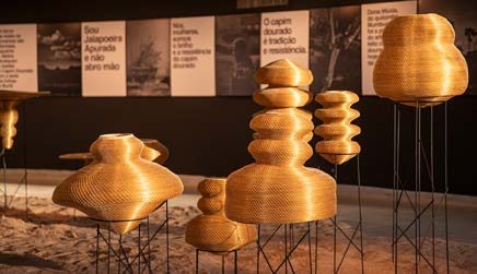 Jalapoeira Apurada - imagen 4