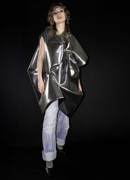 Silver Delight - imagen 1