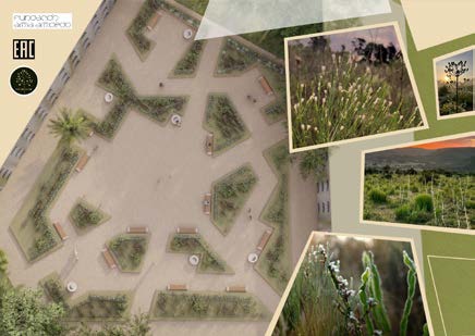 Campo Sucio - imagen 1