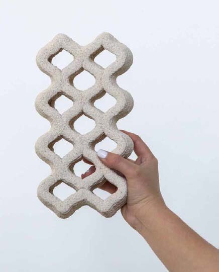 The Eggshell Project - imagen 1