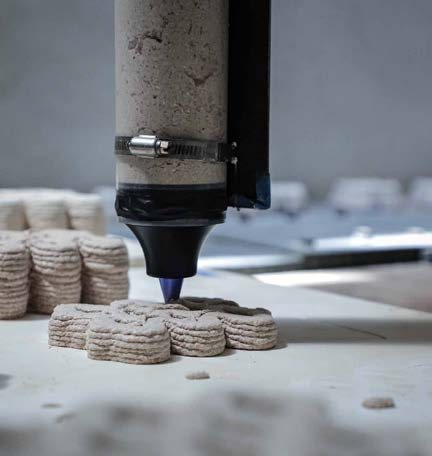 The Eggshell Project - imagen 2