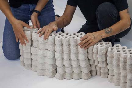 The Eggshell Project - imagen 3