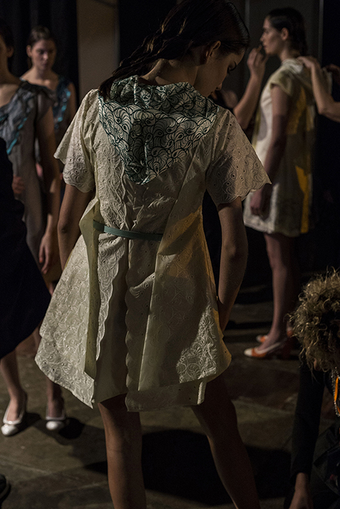 Colección Botánica - imagen 2