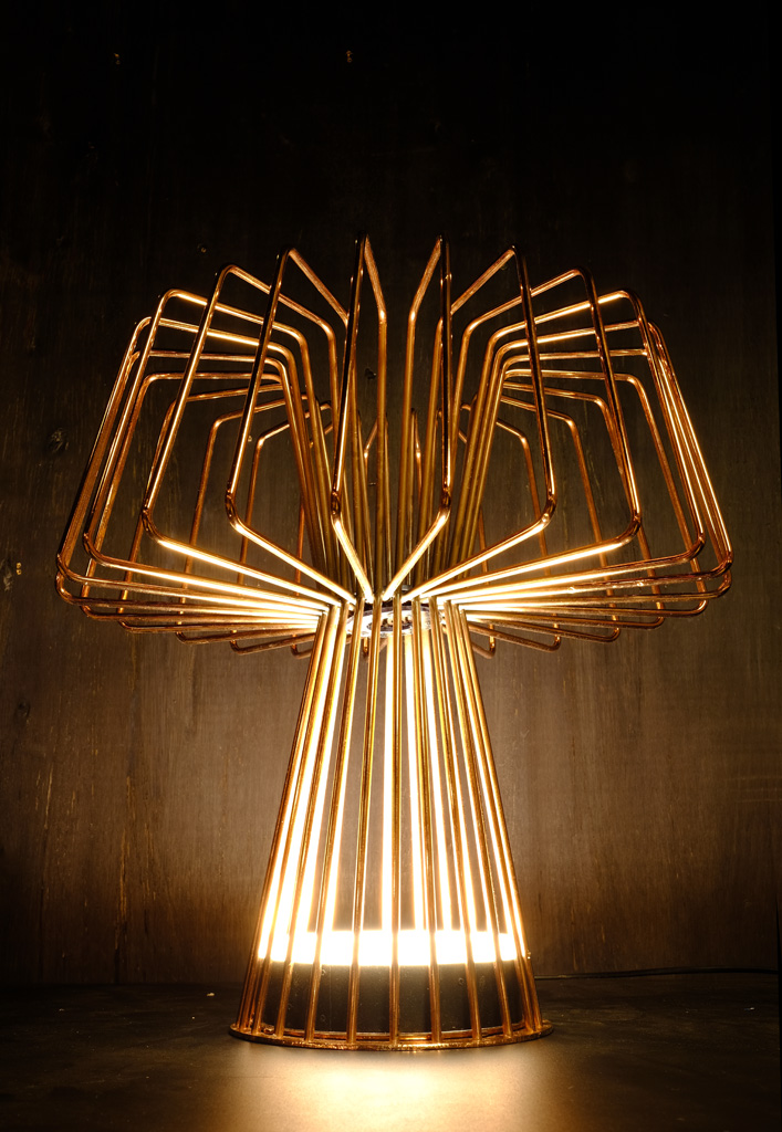 FE lámpara - imagen 1