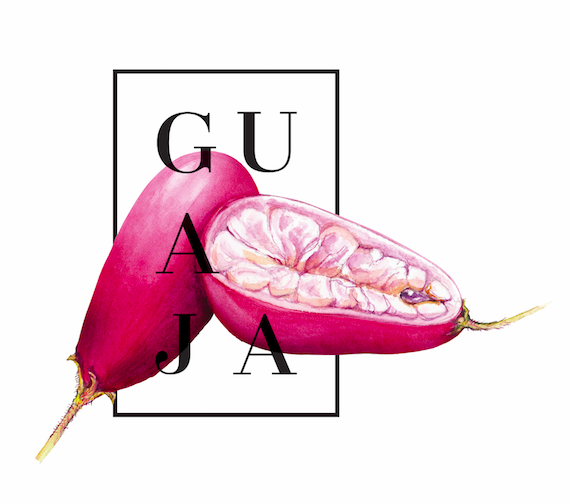 Guaja - imagen 2