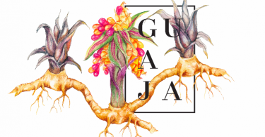 Guaja: señalización ambiental para territorio y conservación