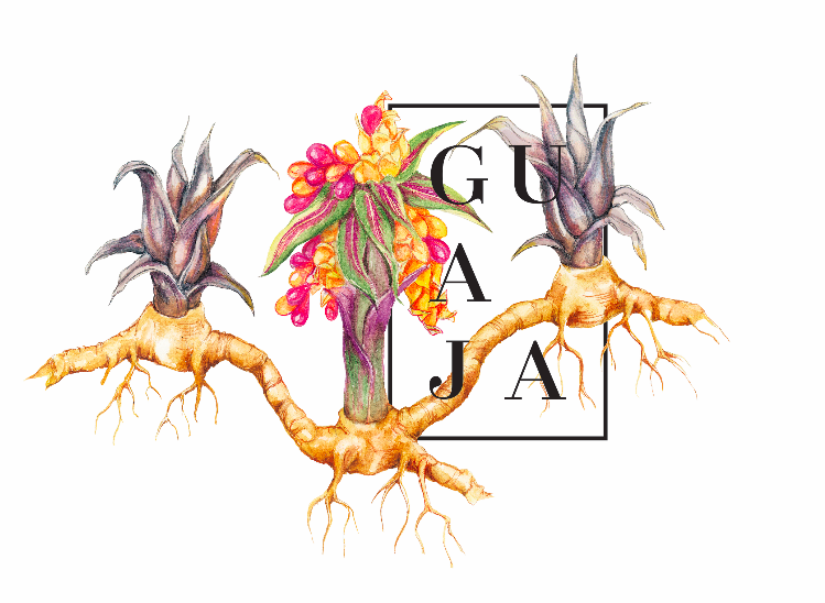 Guaja: señalización ambiental para territorio y conservación