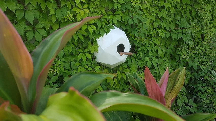 KUKU - imagen adicional horizontal