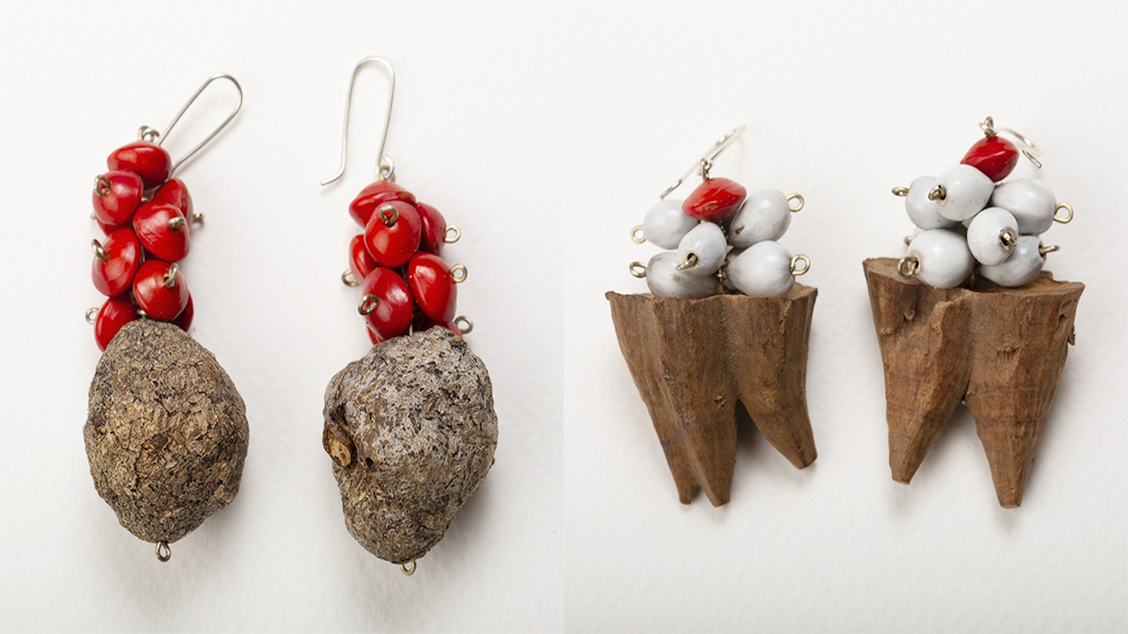 Simbiosis imagen secundaria