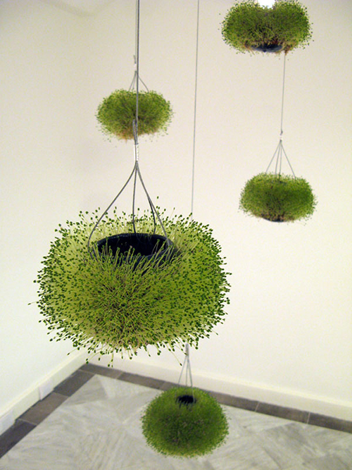 Chías. Macetas Colgantes