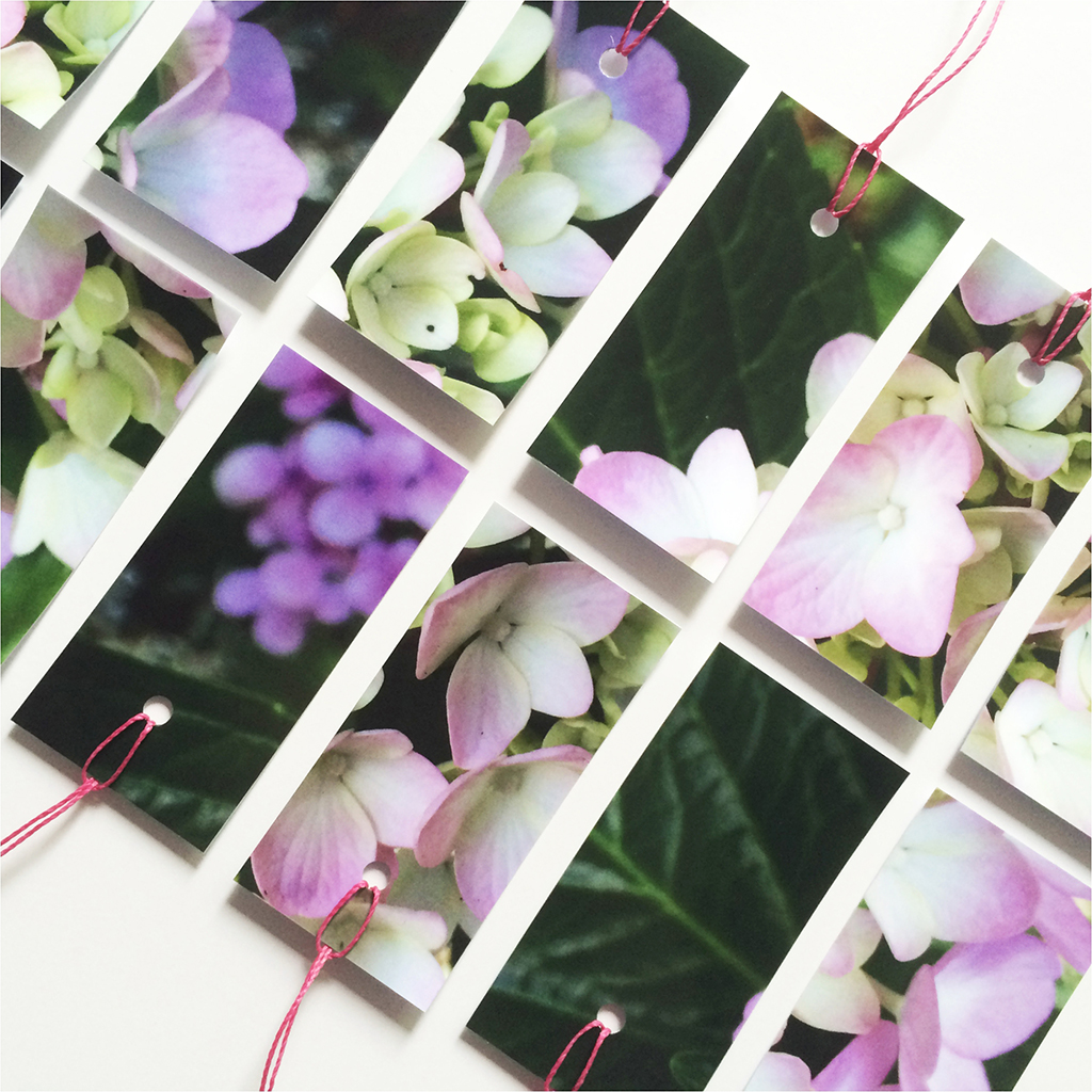 Coralia | diseño & papel: papelería artesanal inspirada en naturaleza y oficio gráfico