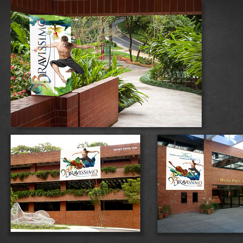 Imagen Visual Bravissimo 2015