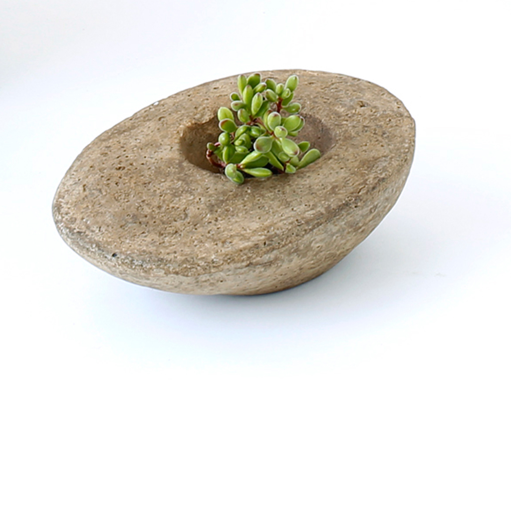 Materia Madura: biomaterial de plátano y café para diseño circular en Puerto Rico