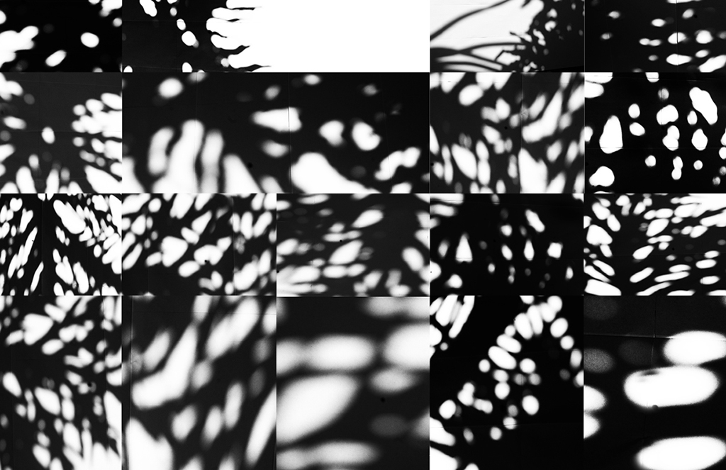 Shadow: vajilla sensorial inspirada en la luz tropical y las sombras del Philodendro